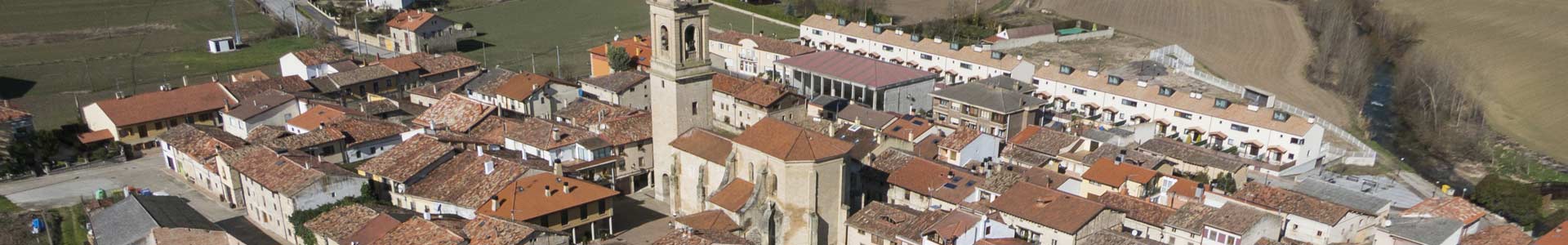 Comida típica de España comida tipica alava