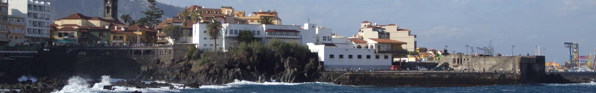 Comida típica de España comida tipica tenerife